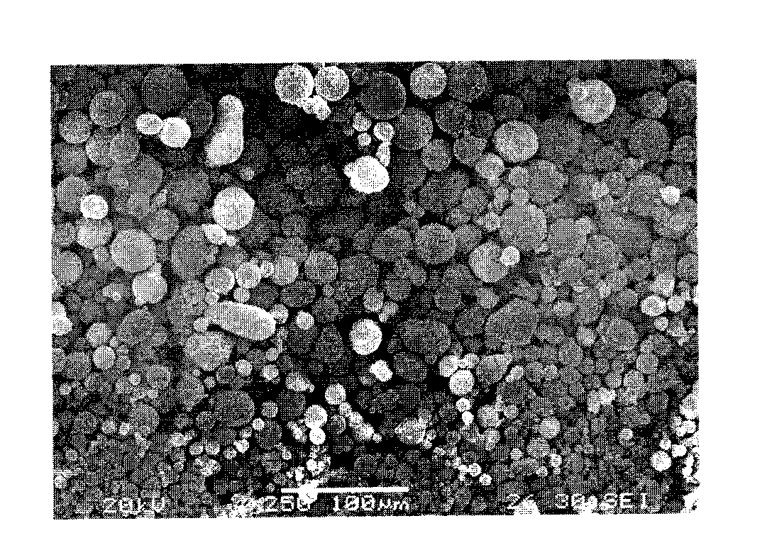 Method of manufacturing gradual-change bore diameter stainless steel antipriming pipe