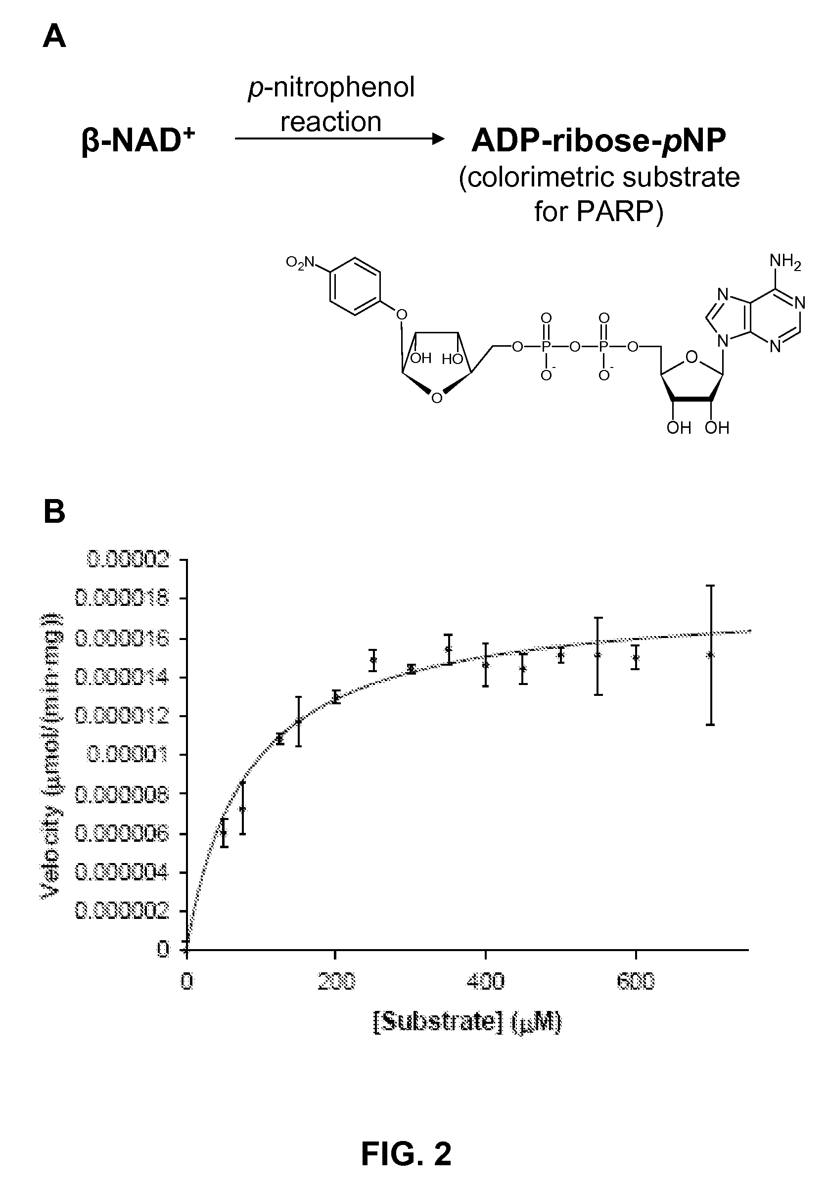 Colorimetric Substrate and Methods for Detecting Poly(ADP-ribose) Polymerase Activity including PARP Enzymes PARP-1, VPARP, and Tankyrase-1