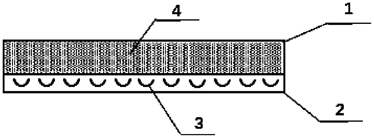 Knitted fabric with one-way moisture transmission, two-face anisotropy and hydroscopic and fast dry functions and preparation method