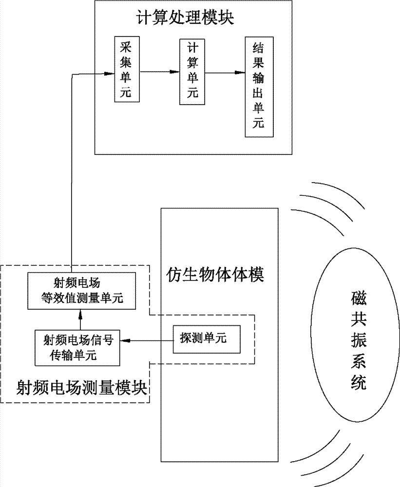 High-field magnetic resonance scanning safety testing body model system, high-field magnetic resonance scanning safety testing method and magnetic resonance system