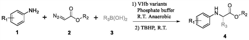 Method for catalyzing non-natural amino acid derivative by bifunctional heme protein