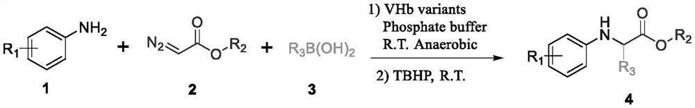 Method for catalyzing non-natural amino acid derivative by bifunctional heme protein