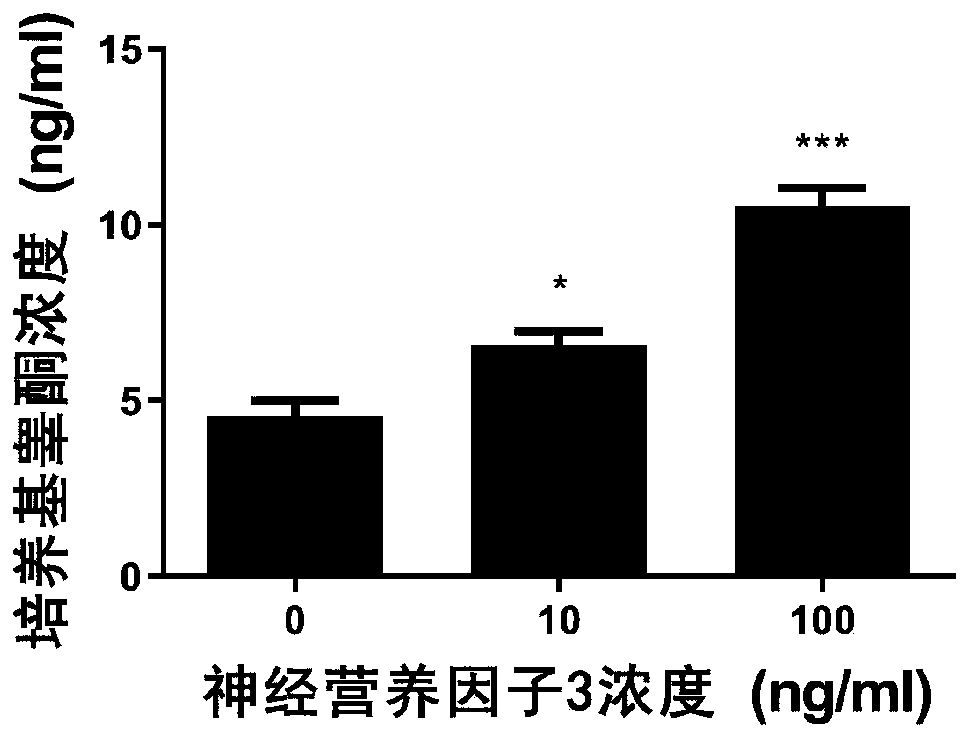 Application of neurotrophic factor 3 in preparation of medicine for treating male hypogonadism