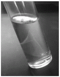 Electrospun polyvinyl alcohol-based tannic acid anti-oxidation nanofiber membrane