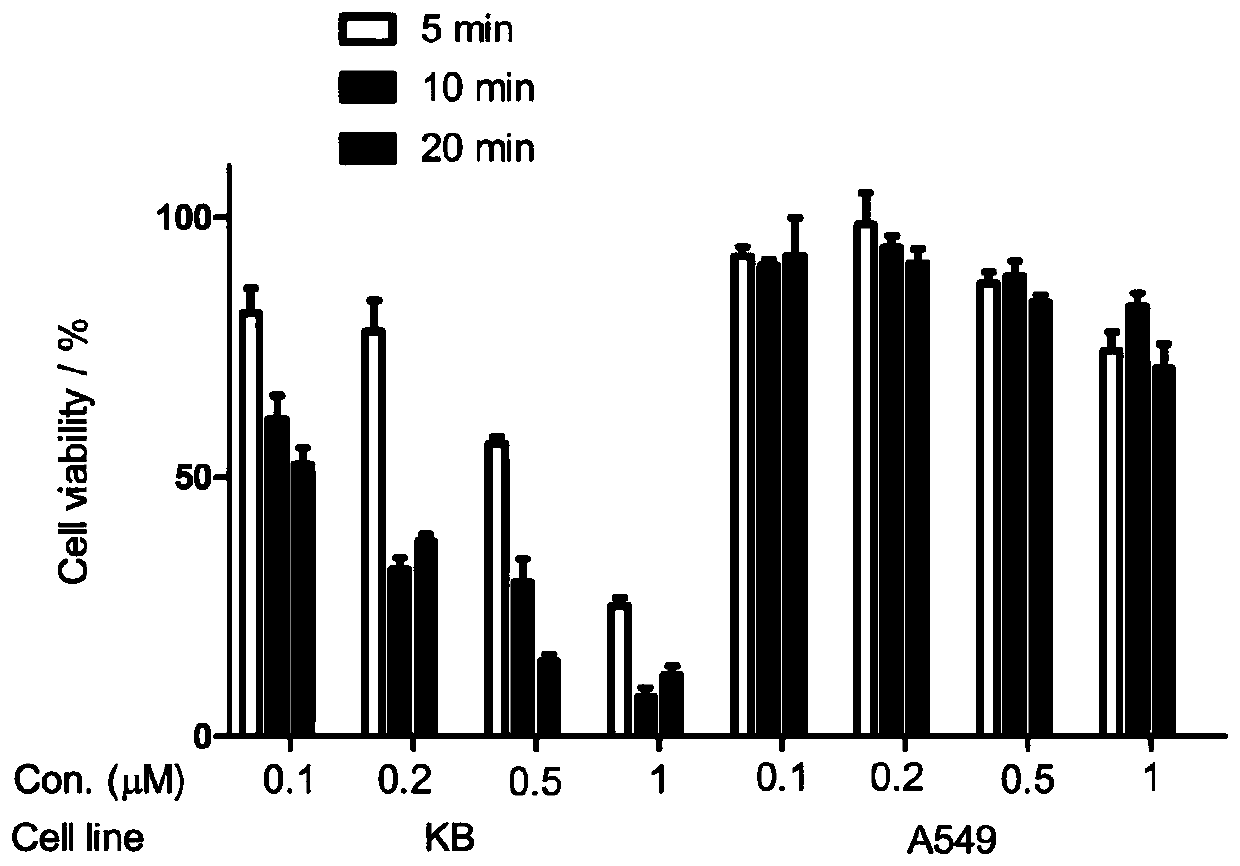 Synthesis and application of folic acid-targeted pyro photosensitizers