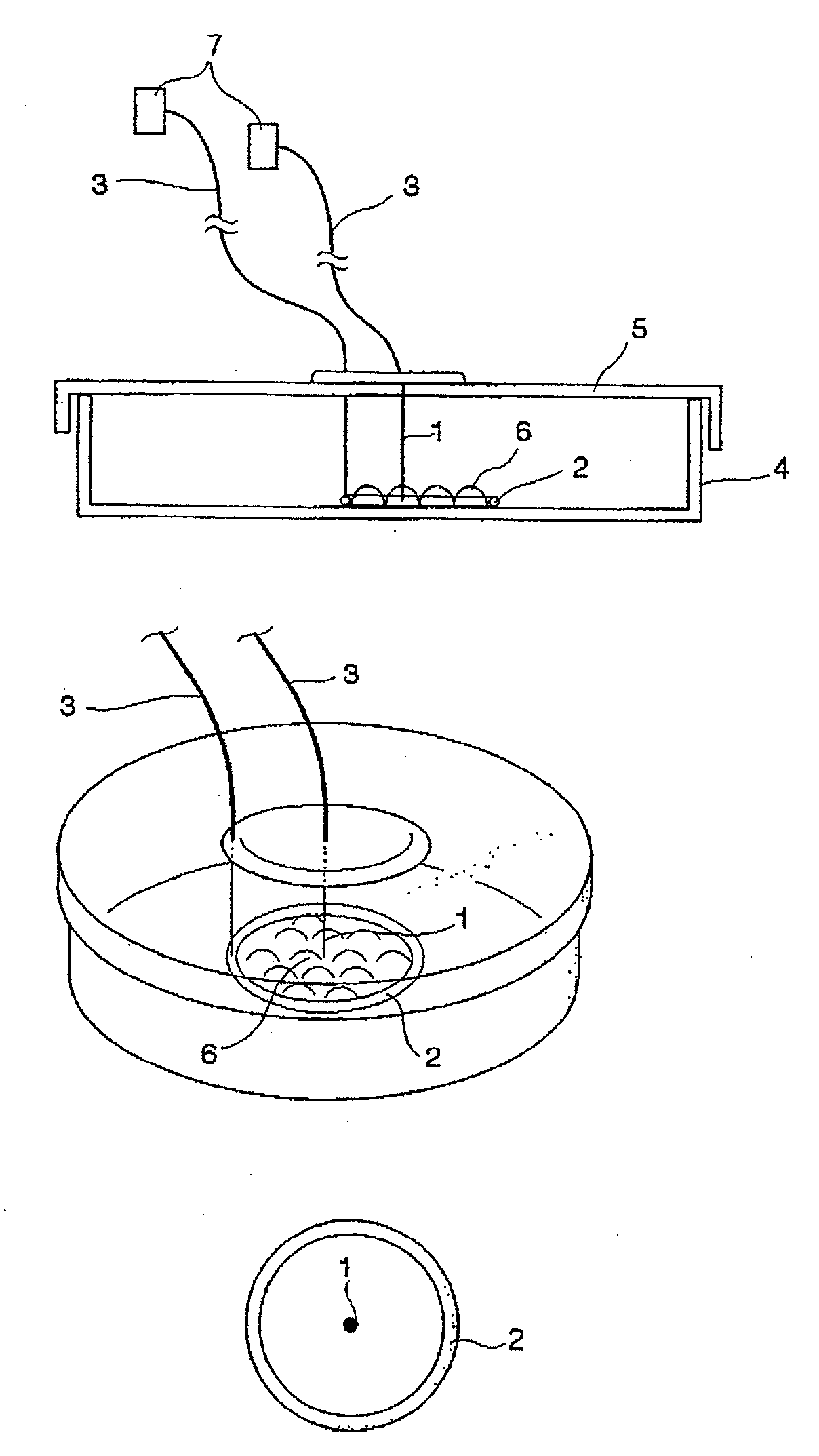 Cell stimulating device and cell stimulating method