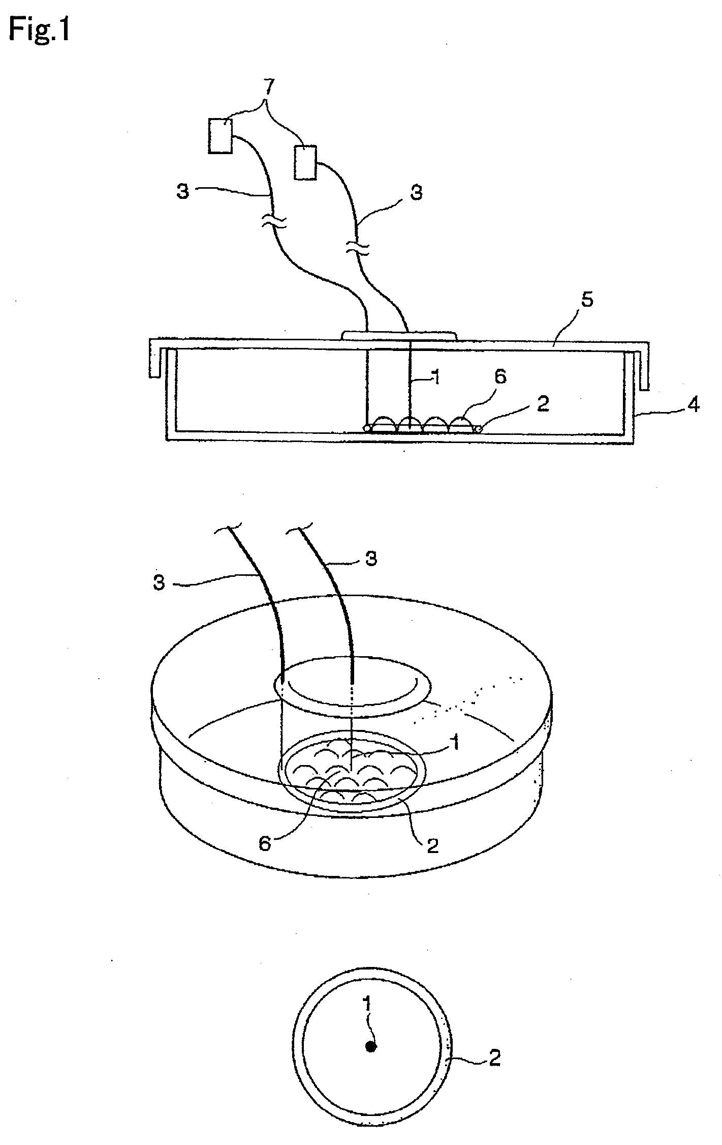 Cell stimulating device and cell stimulating method