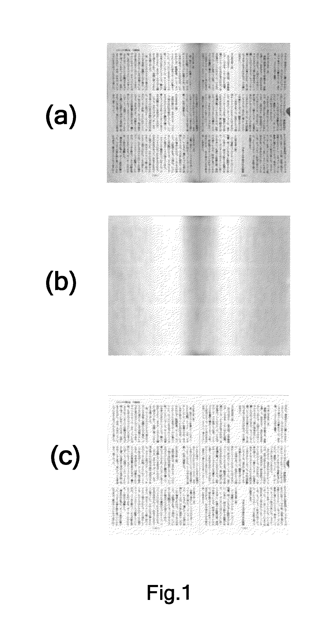 Apparatus for and method of processing document image