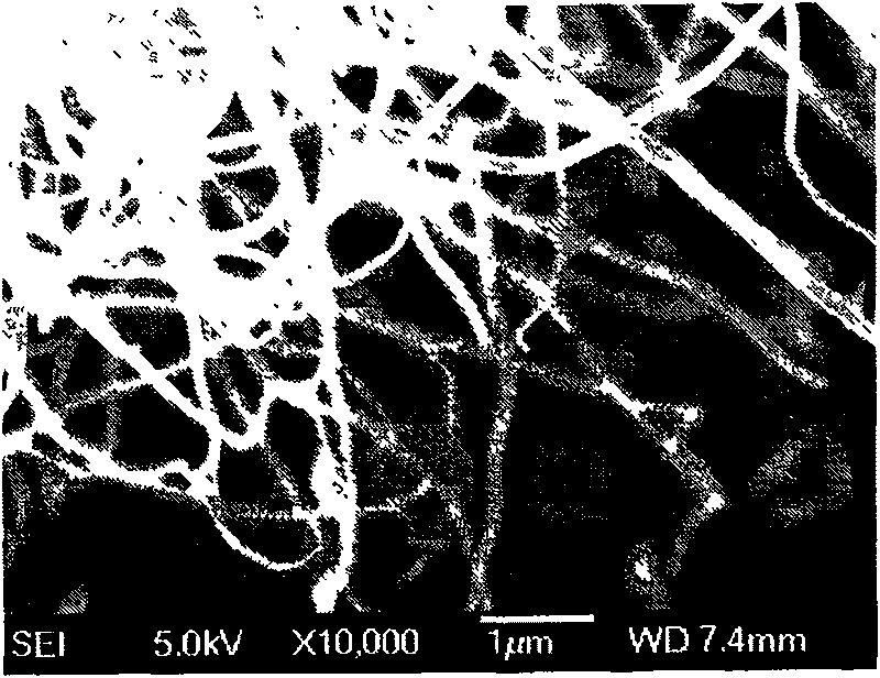 Method of preparing nano silicon line without metal catalyst under low temperature