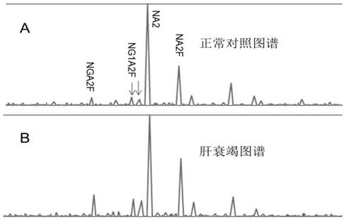 Hepatic failure detection reagent and application thereof in hepatic failure detection