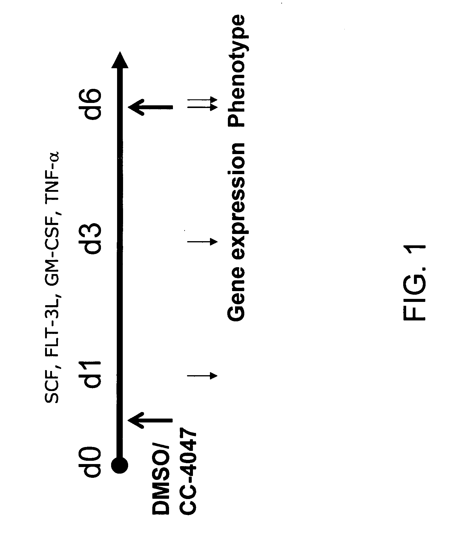 Methods and compositions for the treatment and management of hemoglobinopathy and anemia