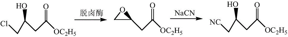 Preparation method for continuous cyclic synthesis of ethyl(R)-4-cyano-3-hydroxybutyrate