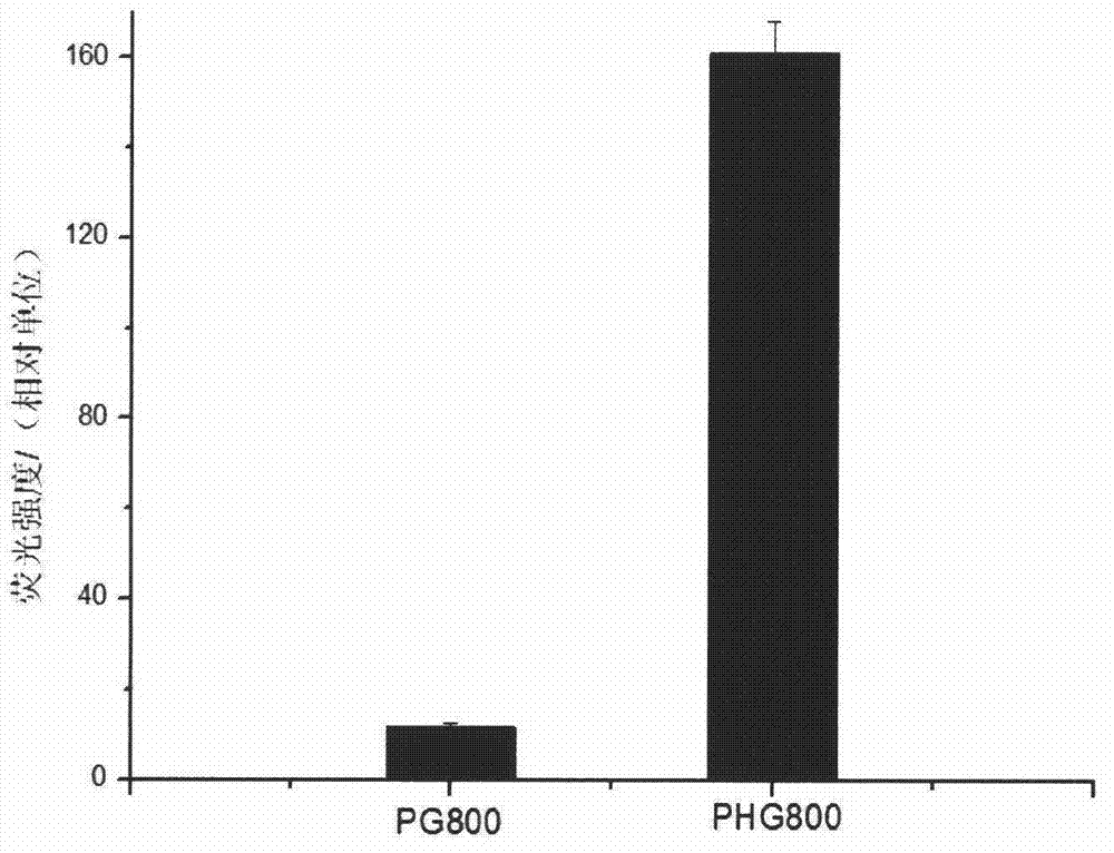Improvement of expression quantity of foreign proteins by fusion label