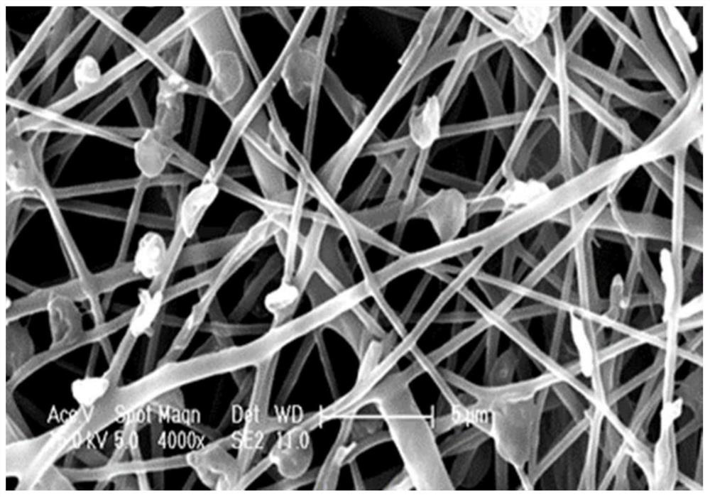 A kind of polymer biomimetic coating and preparation method thereof