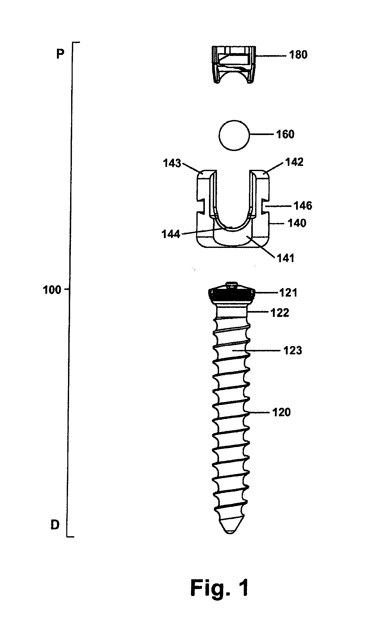 Spinal Rod and Screw Securing Apparatus and Method