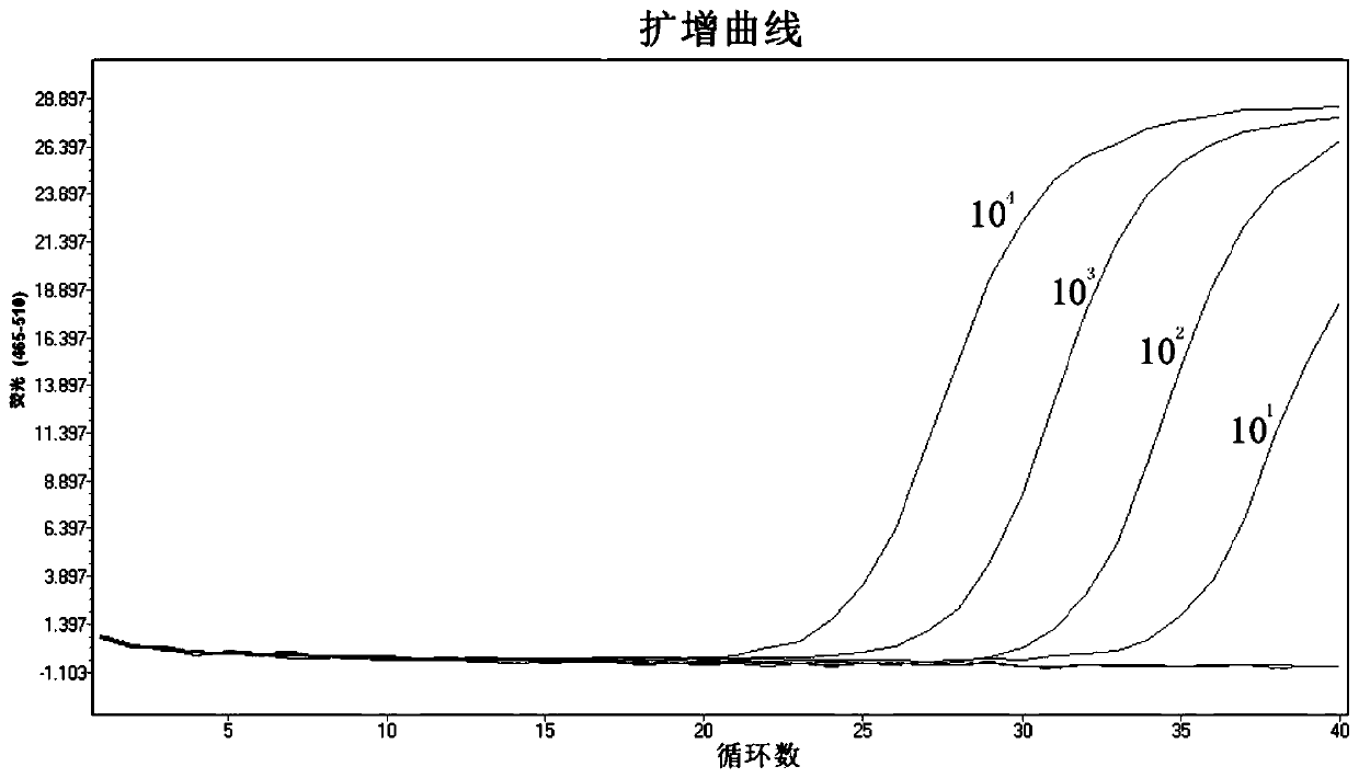 Kit for detecting bovine nodular skin disease virus by eliminating goatpox virus as well as preparation method and application thereof