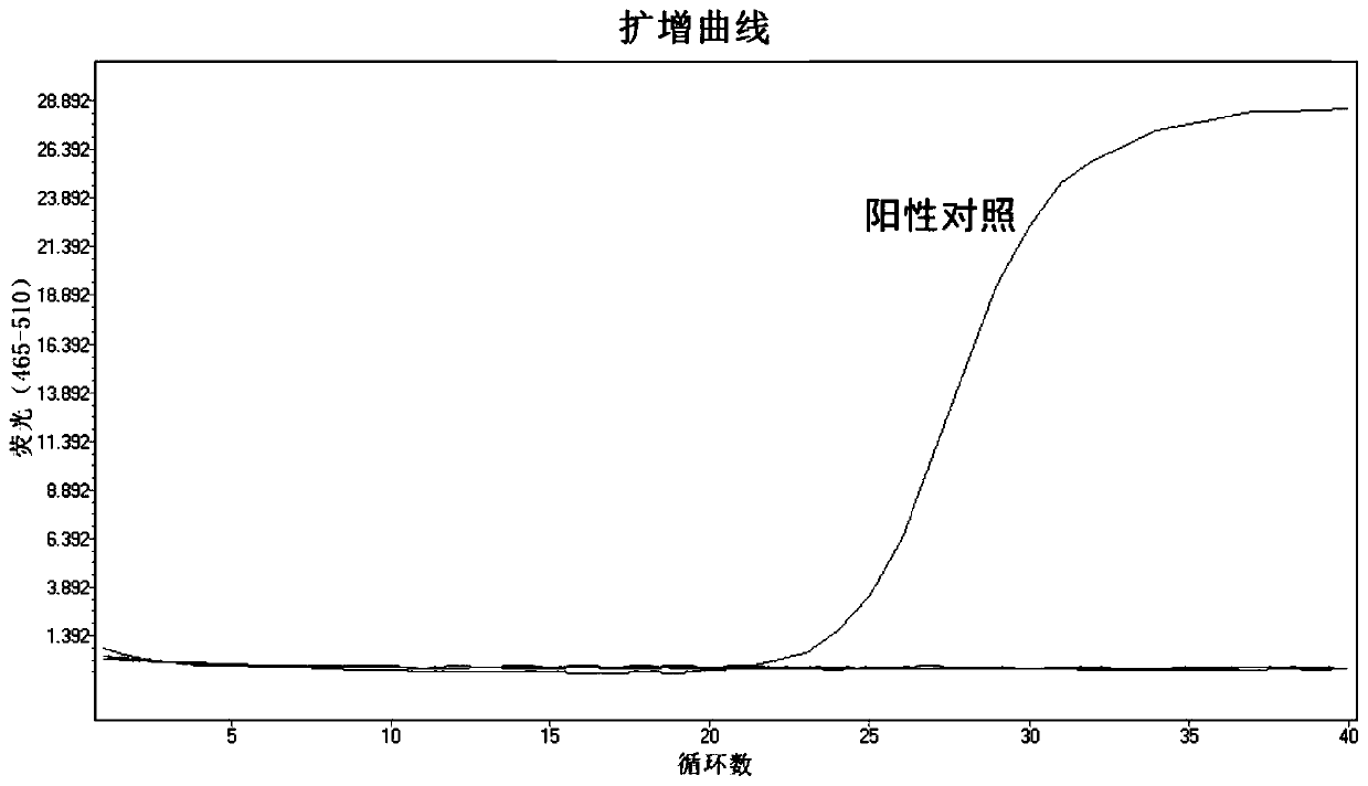 Kit for detecting bovine nodular skin disease virus by eliminating goatpox virus as well as preparation method and application thereof