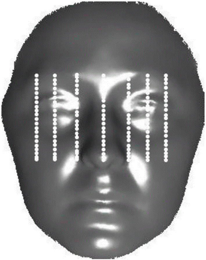 Three-dimensional face recognition method based on vertical and horizontal local binary pattern on the mesh