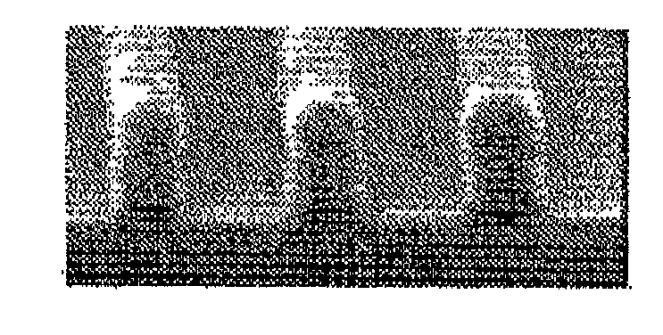Sulfur atom-containing resist underlayer film forming composition and method for forming resist pattern