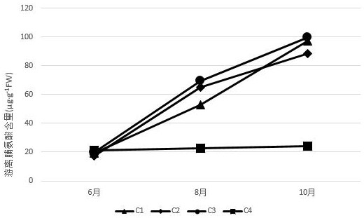 Preparation method and application of efficient microbial agent for slope protection