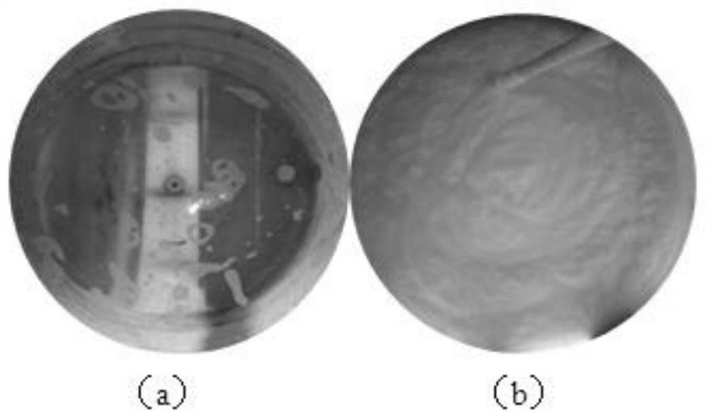 A kind of chlortetracycline hydrochloride soluble powder and preparation method thereof