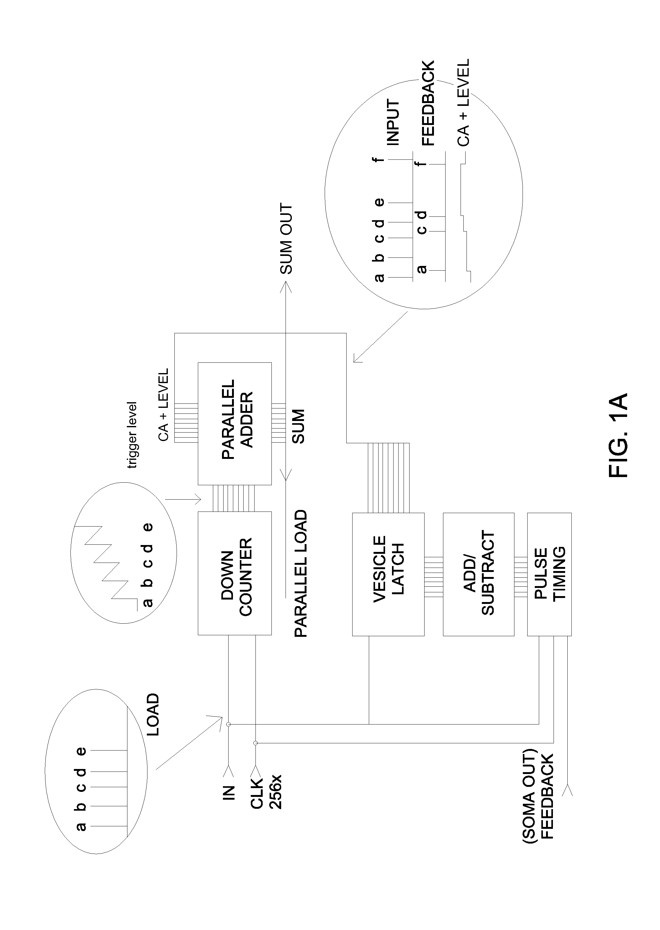 Method and a system for creating dynamic neural function libraries
