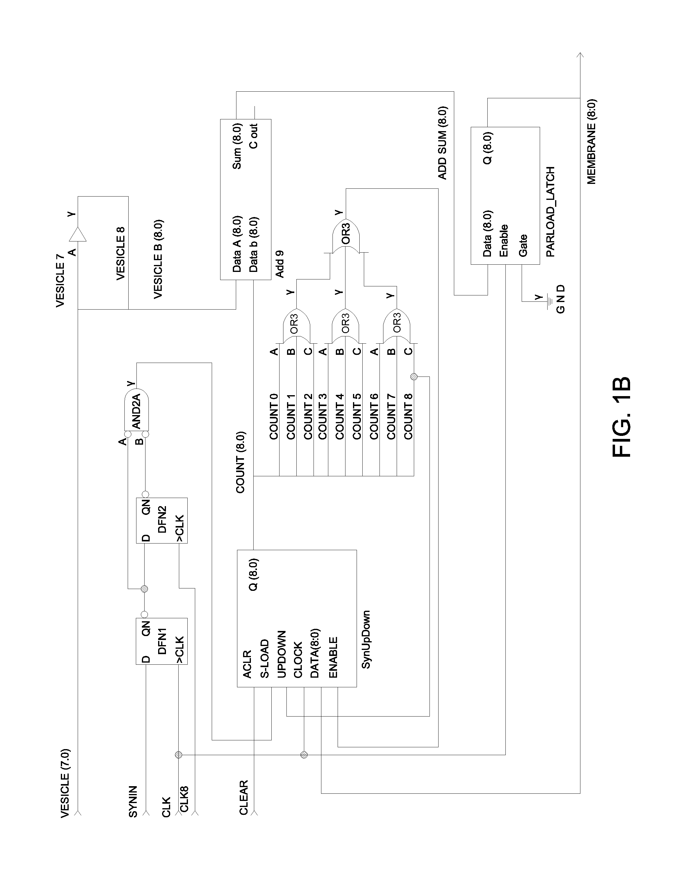 Method and a system for creating dynamic neural function libraries