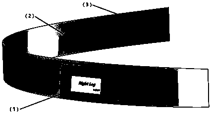 Quantitative detection device for postural balance stability in patients with Parkinson's disease