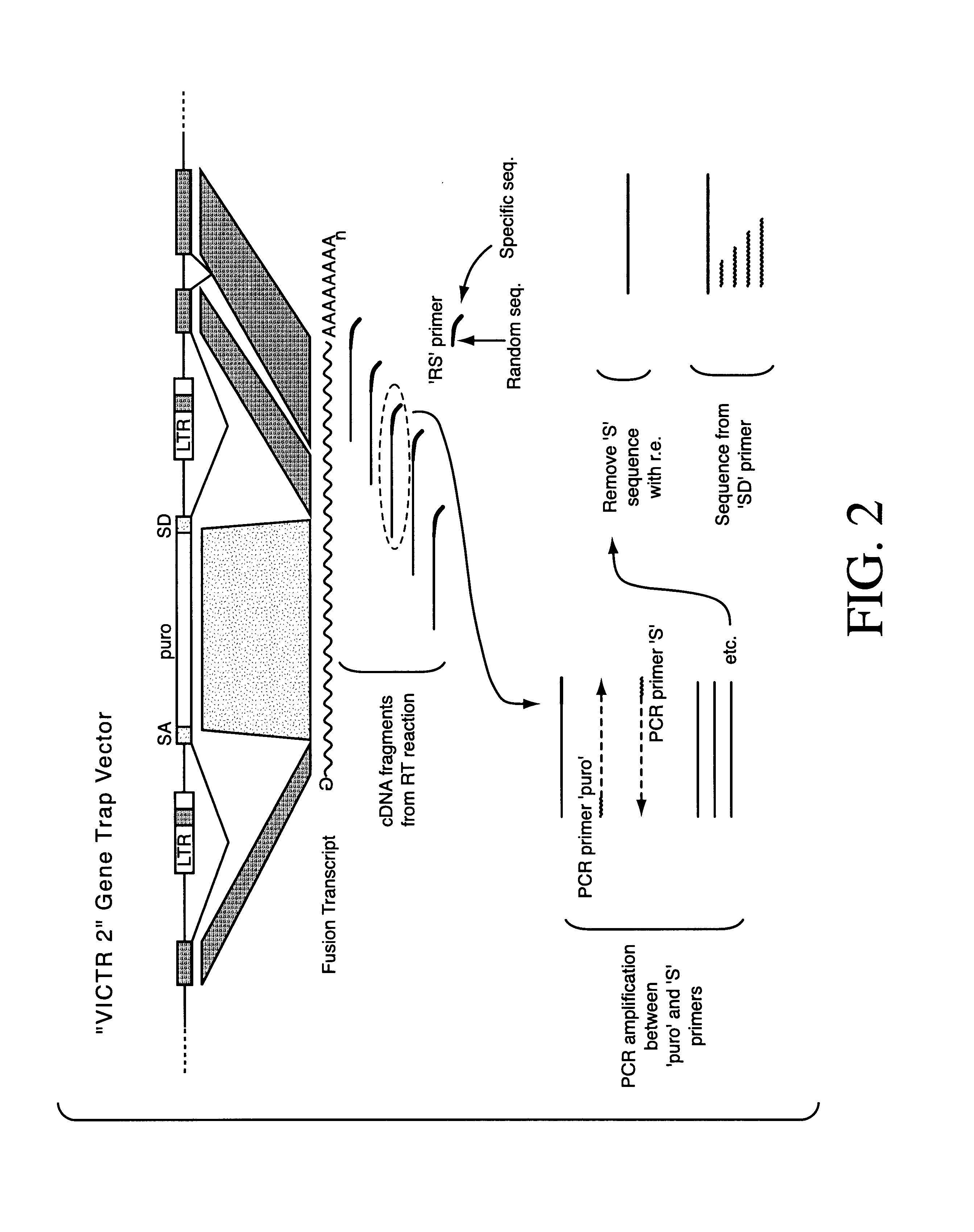 Indexed library of cells containing genomic modifications and methods of making and utilizing the same