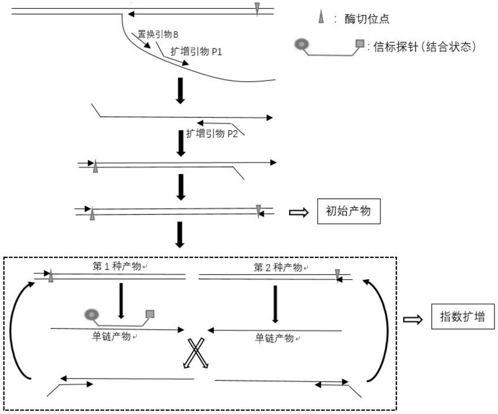 Method for isothermal amplification of nucleic acid target sequence