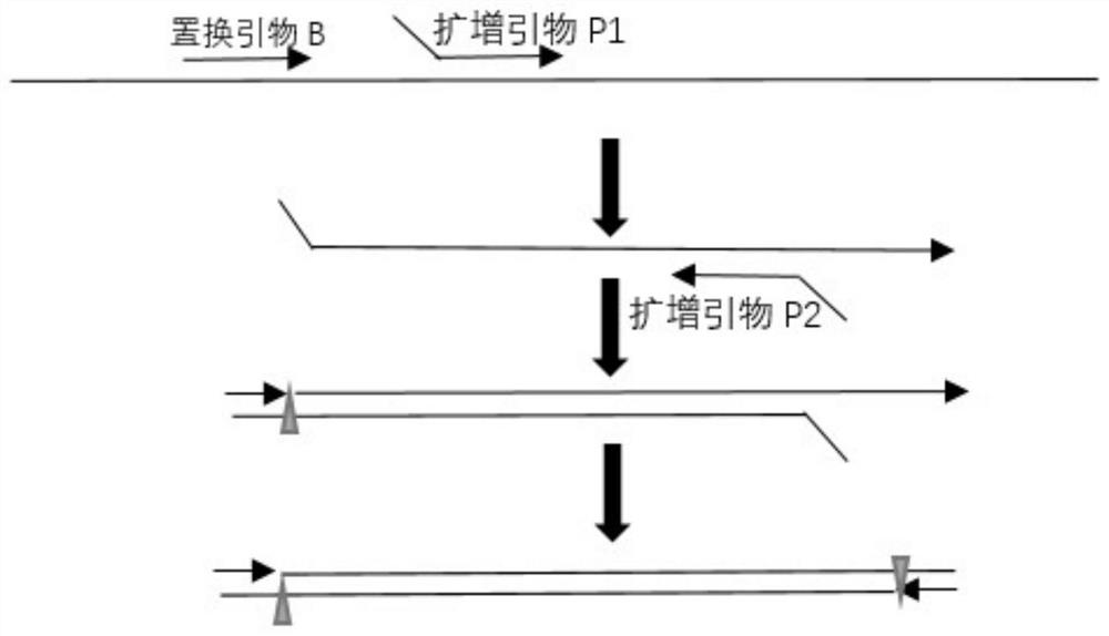 Method for isothermal amplification of nucleic acid target sequence