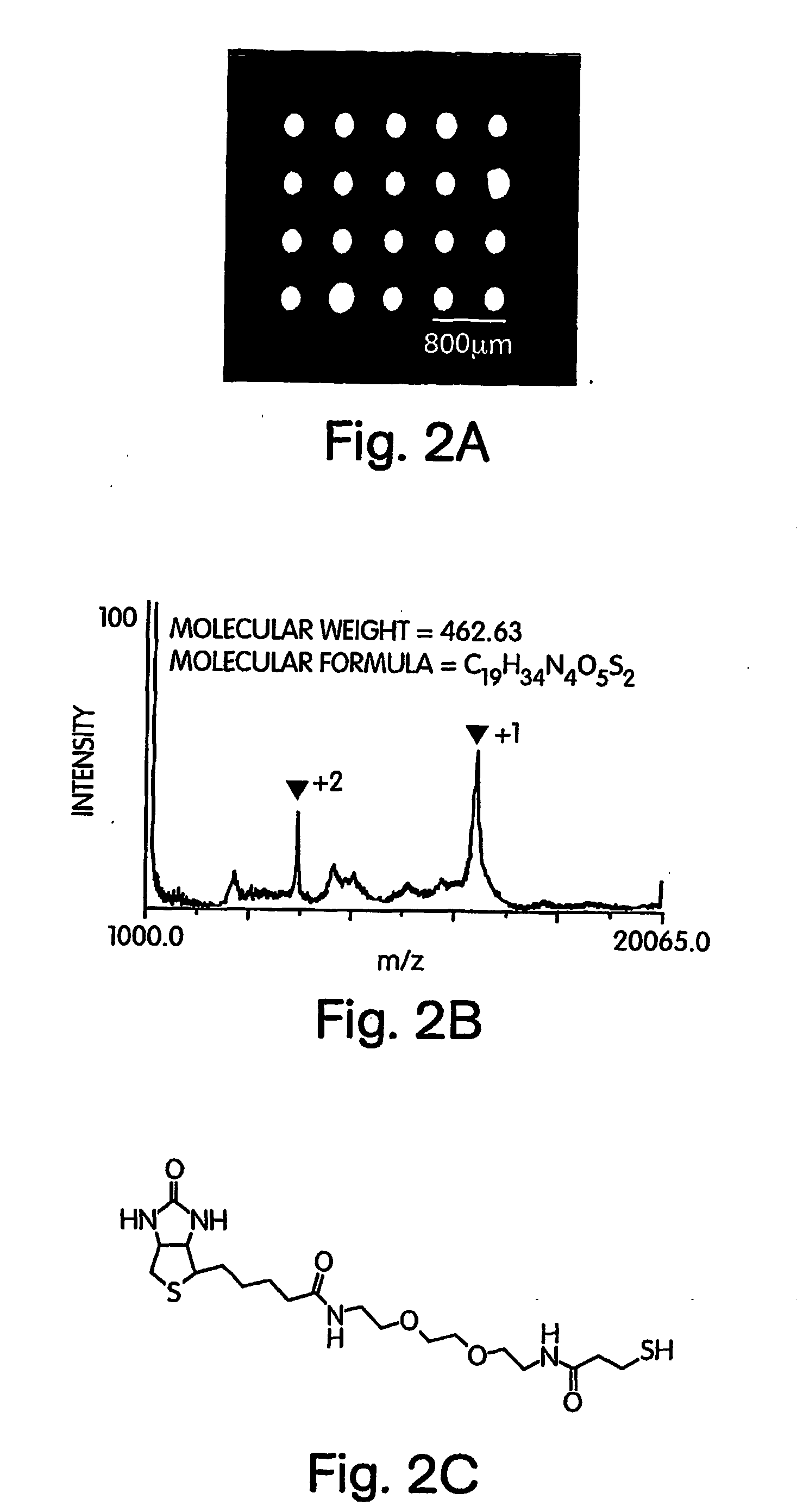 Determination of Proteins and/or Other Molecules Using Mass Spectroscopy