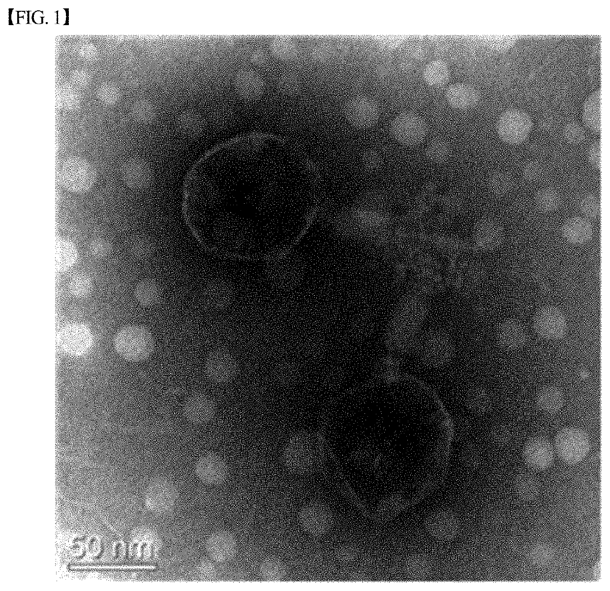 <i>Pasteurella multocida </i>bacteriophage Pas-MUP-1 and use thereof for inhibiting proliferation of <i>Pasteurella multocida</i>