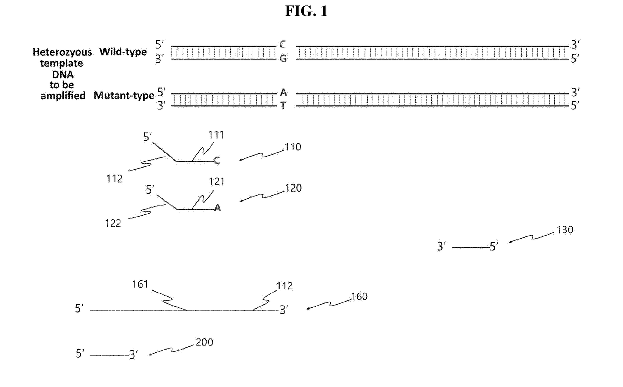 Kit and method for detecting single nucleotide polymorphism