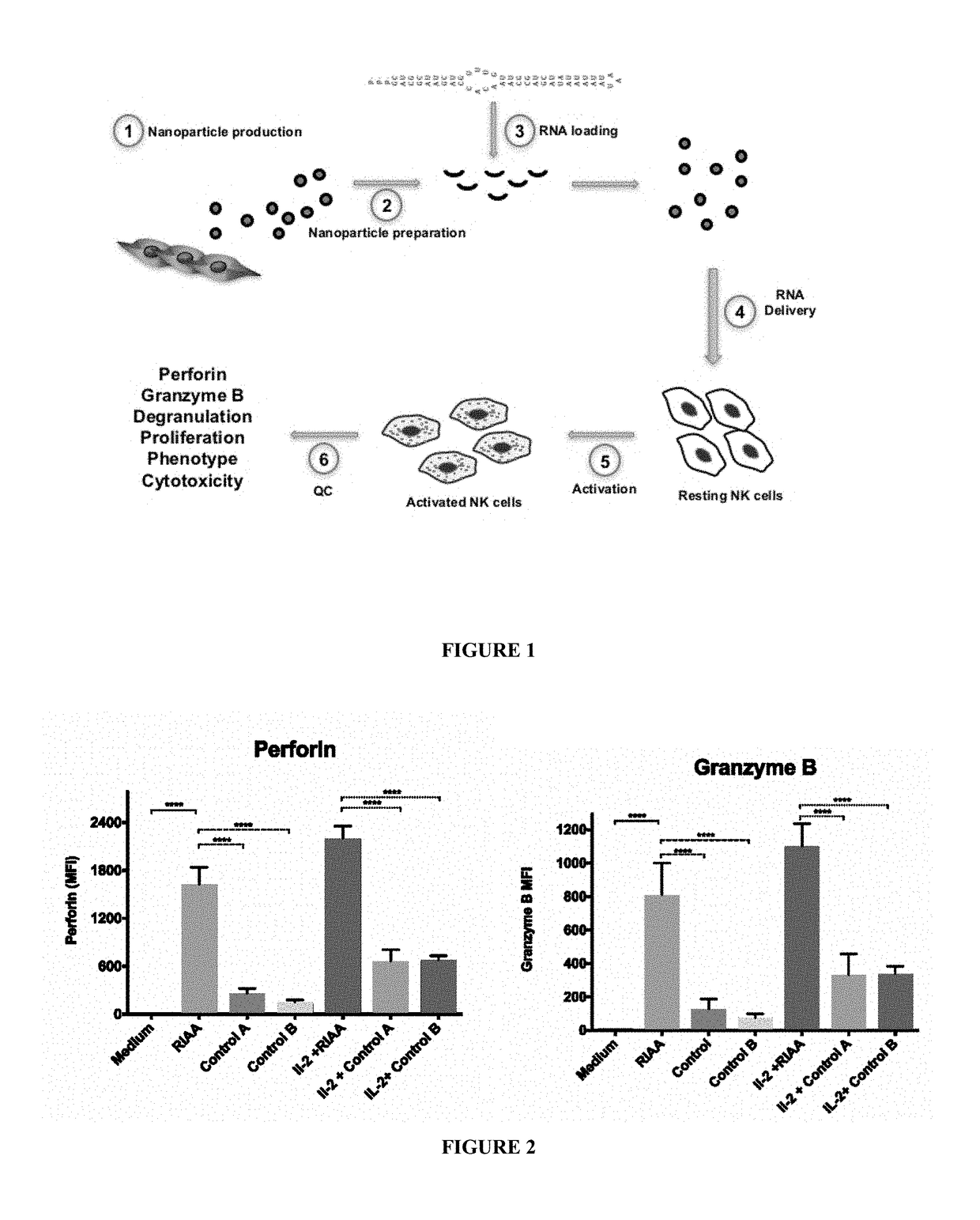 Novel RNA construct and methods of use thereof for enhancing the therapeutic effects of cytotoxic cells and stem cells
