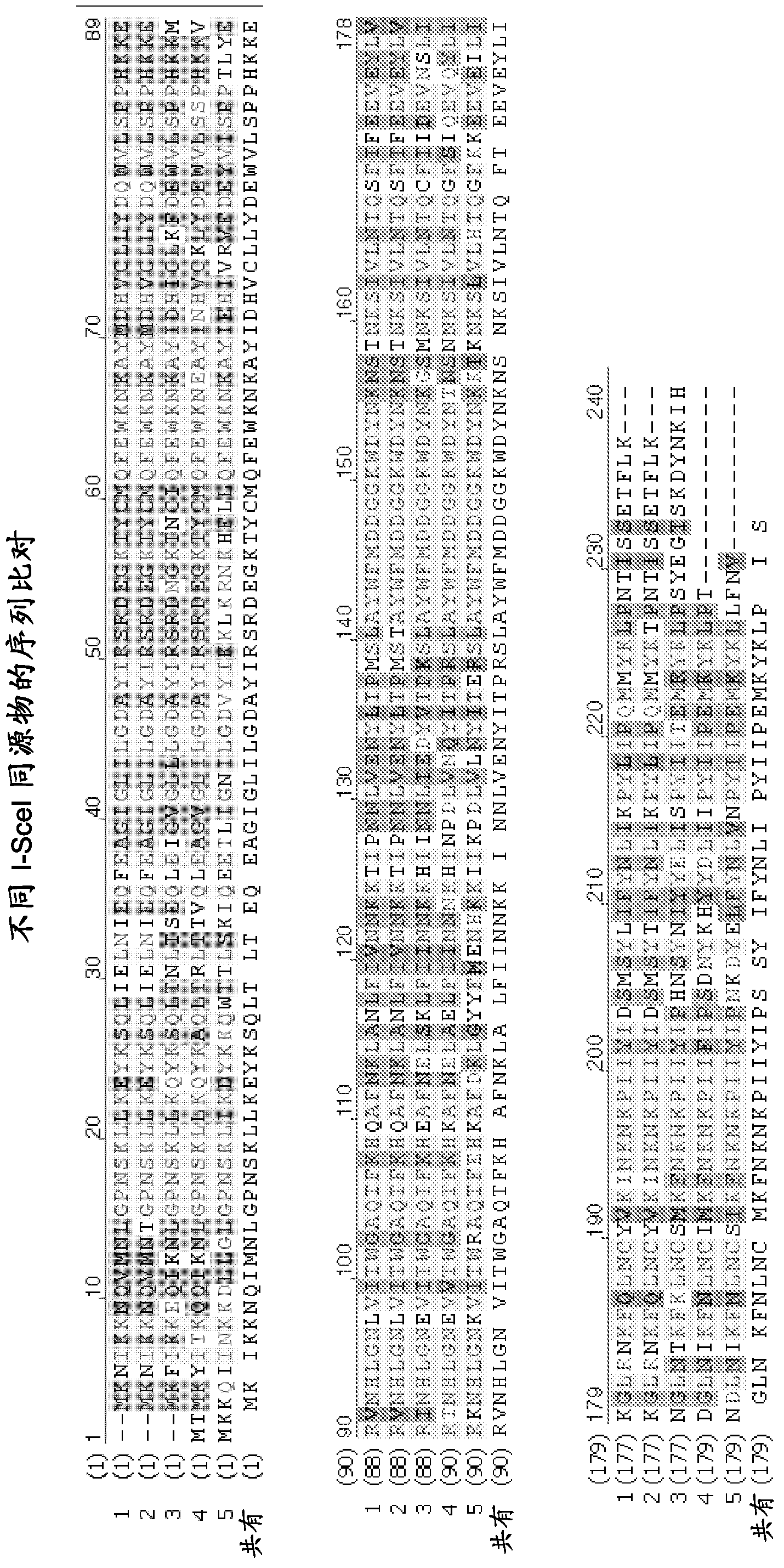 Optimized endonucleases and uses thereof