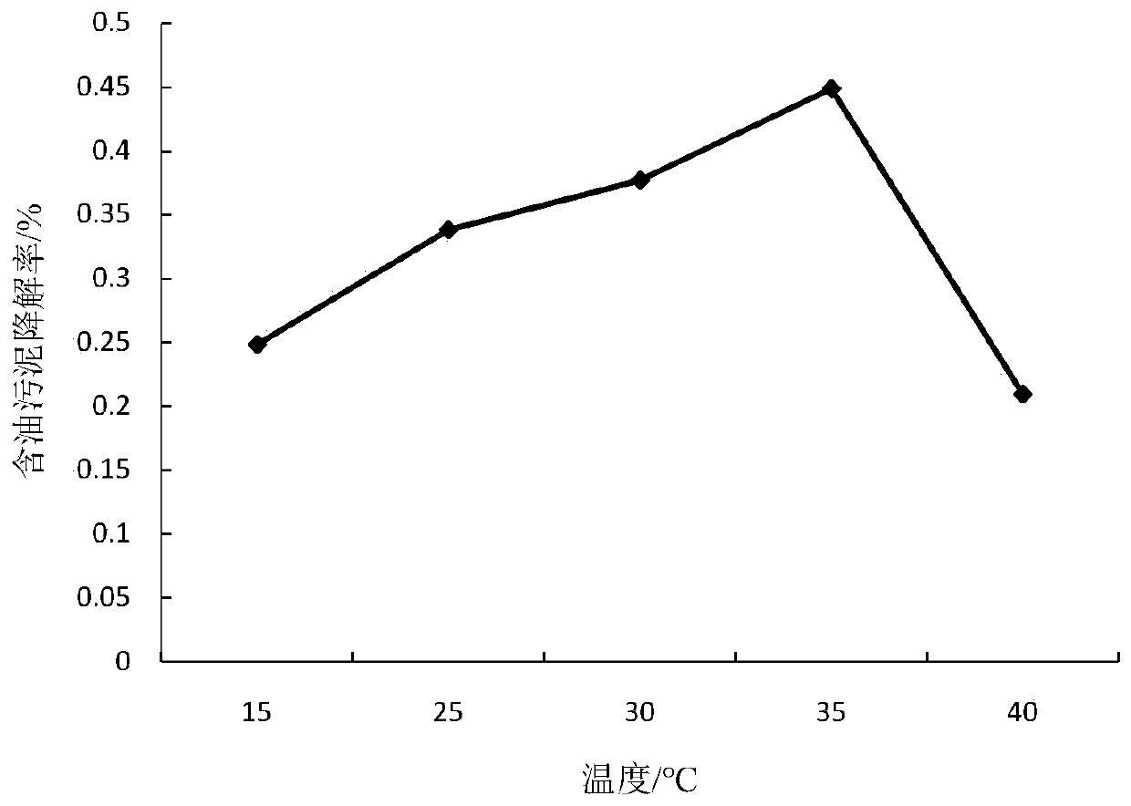 A functional bacterium for degrading oily sludge and its application