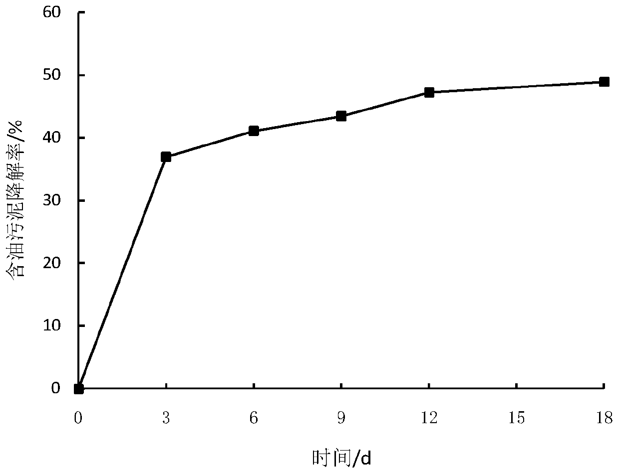 A functional bacterium for degrading oily sludge and its application