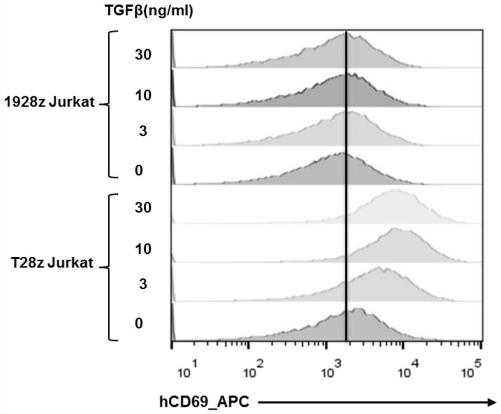 Chimeric antigen receptor and application thereof