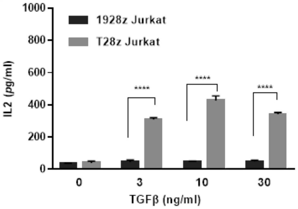 Chimeric antigen receptor and application thereof