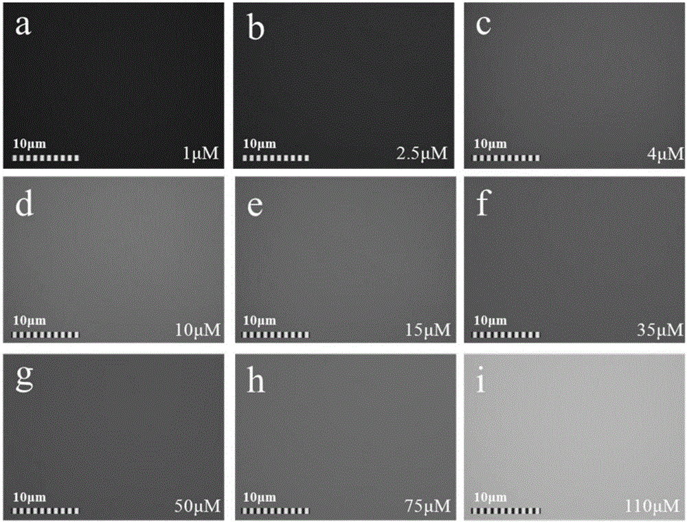 Micro-interface hydroxyl free radical characterization method based on fluorescence imaging analysis