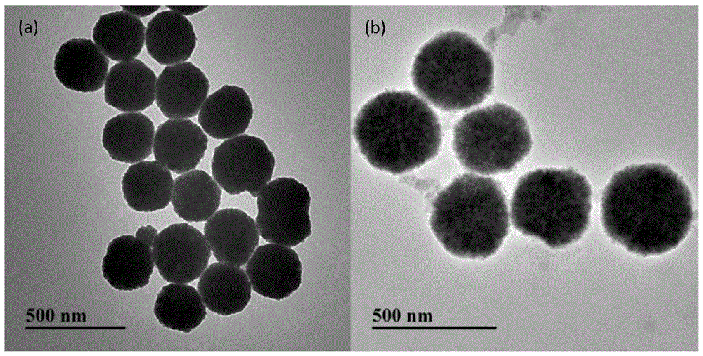 A method for specific detection of Staphylococcus aureus