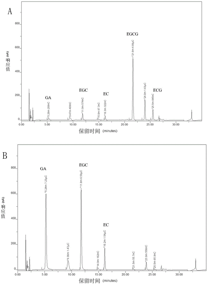 Method for producing epigallocatechin and gallic acid through transformation of aspergillus niger whole cell