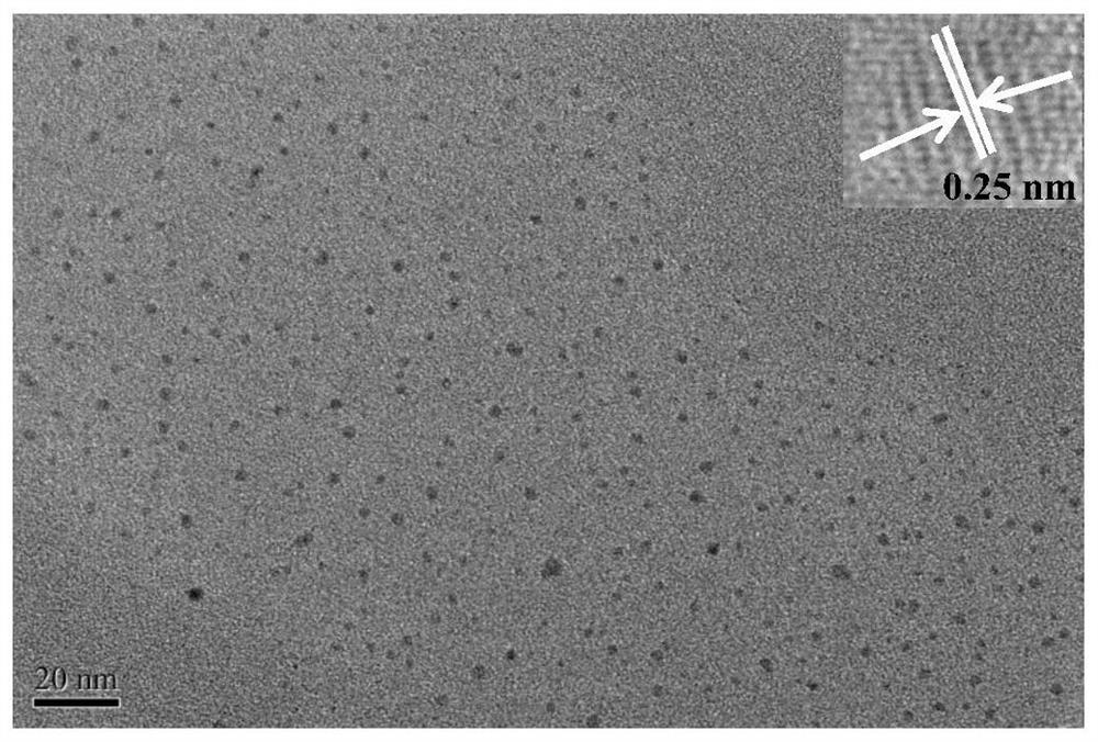 Preparation method and application of red fluorescent gold nanocluster and targeting complex thereof