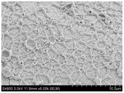 SiO2-TiO2 composite metamaterial structure photocatalyst and preparation method thereof