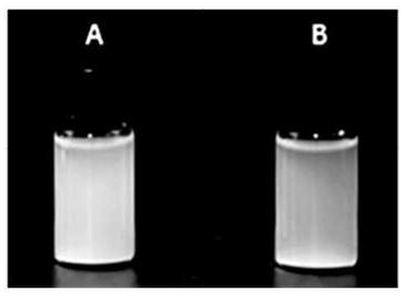 A method for improving the stability of high-calcium milk by optimizing the production process