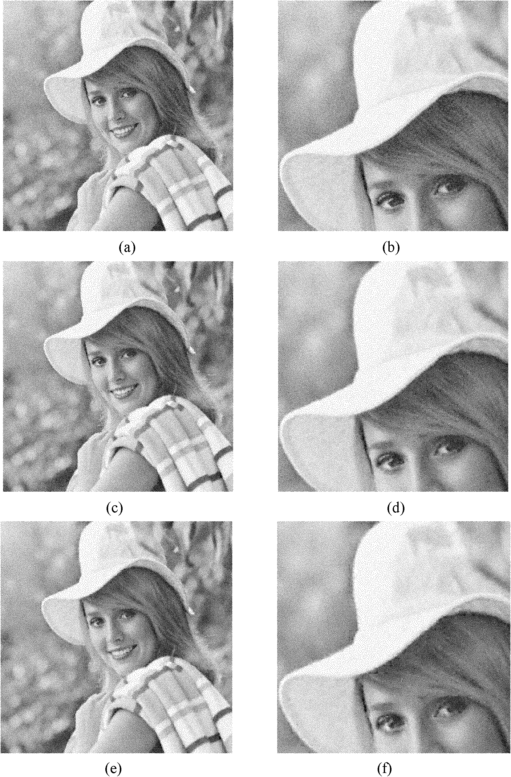 Image sparse representation method based on Curvelet redundant dictionary