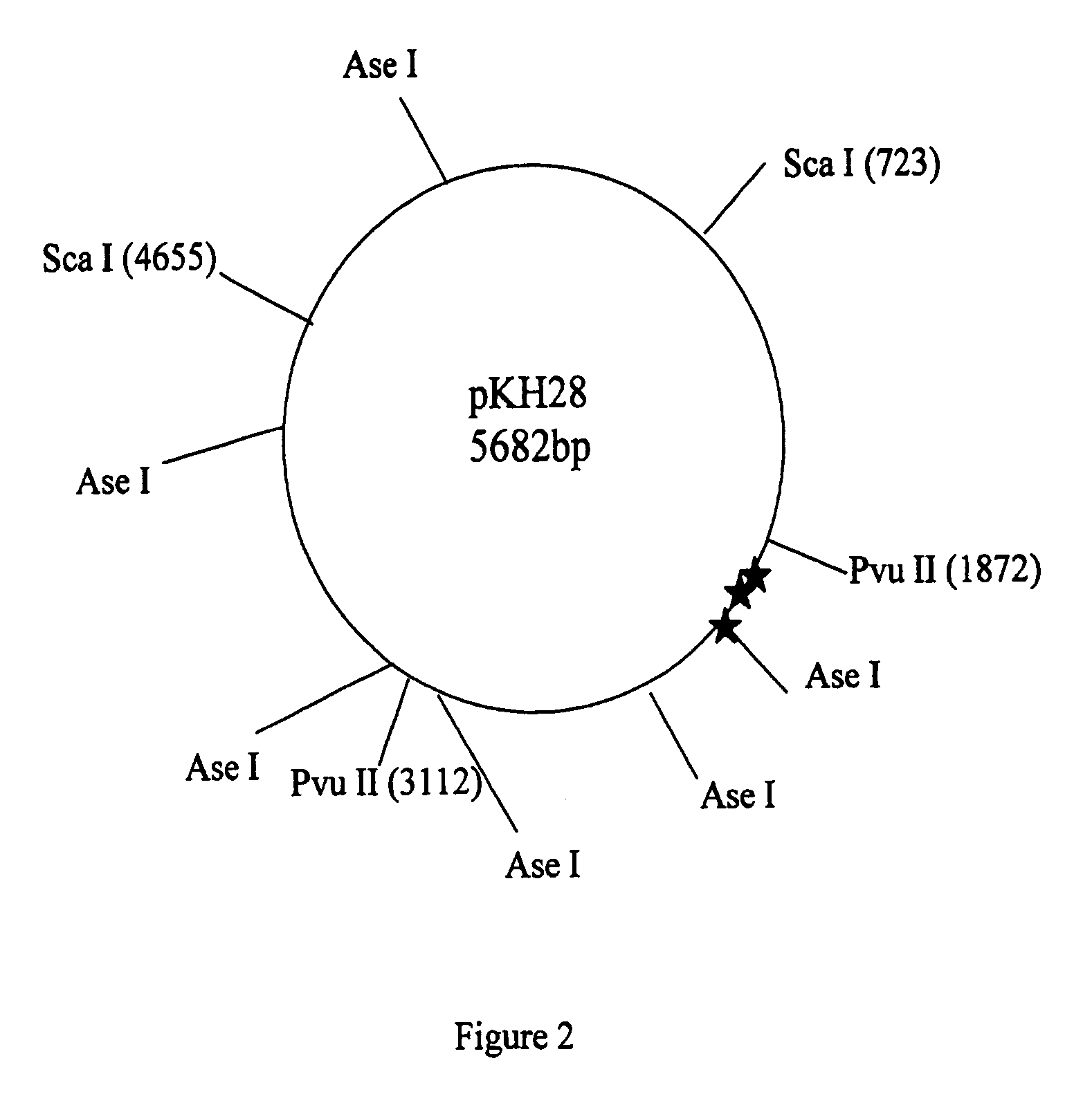 Methods for detecting and localizing DNA mutations by microarray