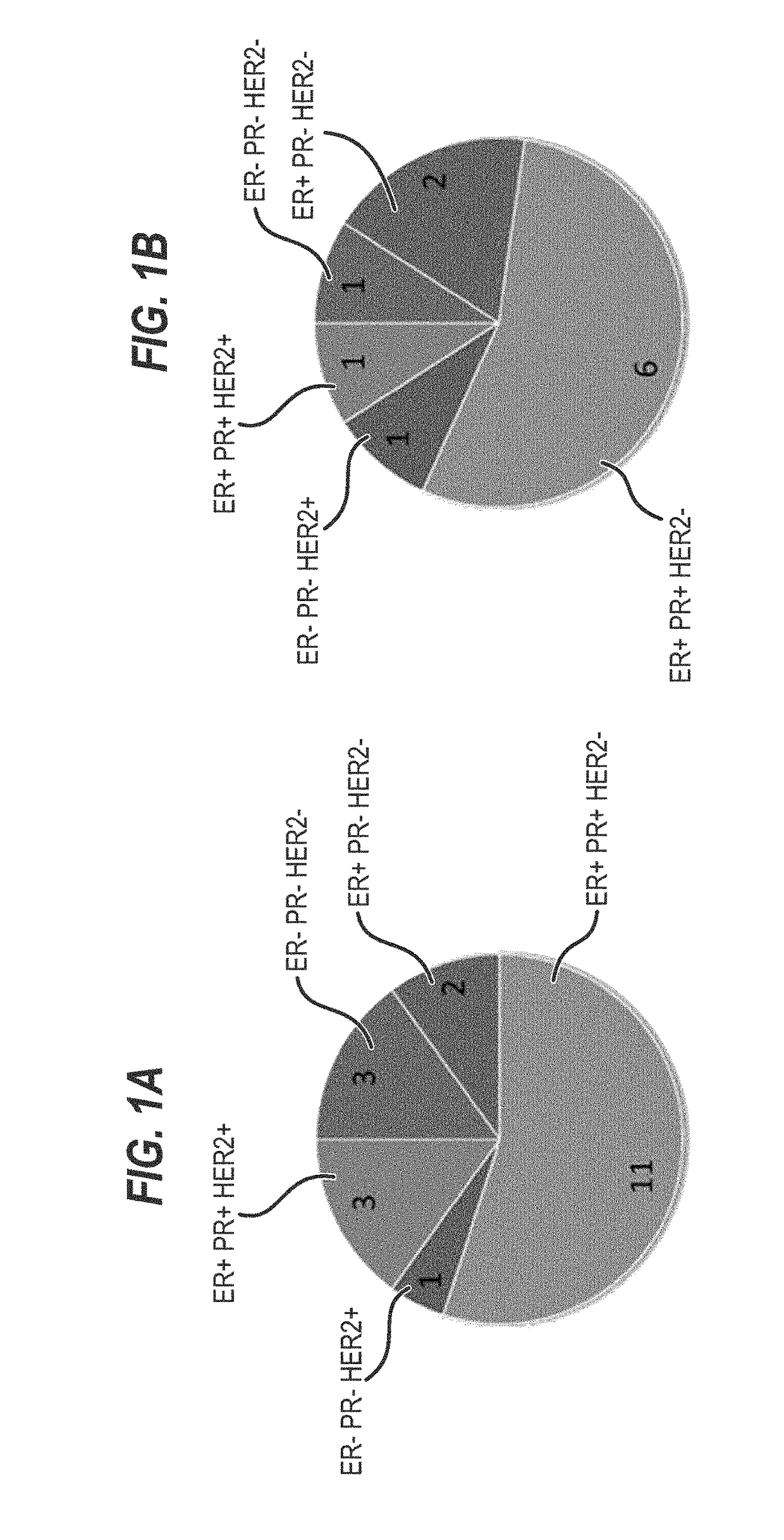 Culture medium for expanding breast epithelial stem cells