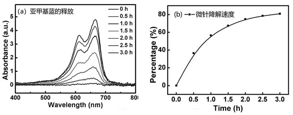 Long-acting depression relieving microneedle patch and preparation method thereof